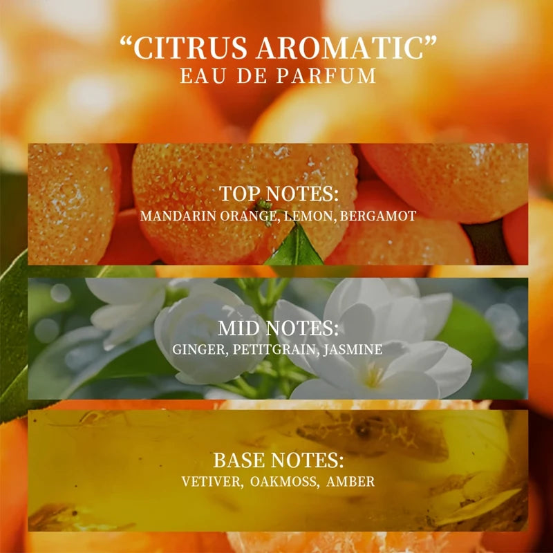 Women's Orange-Scented Roll-On Perfume, Elegant Citrus Fragrance, Light and Natural Scent, Unique and Refreshing, Increases Attraction from the Opposite Sex. Selected Perfume Ingredients, Alcohol-Free, Mild and Non-Irritating.