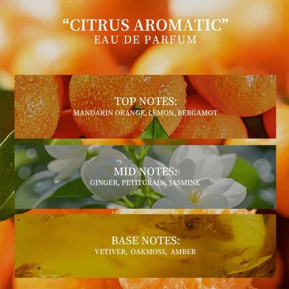 Women's Orange-Scented Roll-On Perfume, Elegant Citrus Fragrance, Light and Natural Scent, Unique and Refreshing, Increases Attraction from the Opposite Sex. Selected Perfume Ingredients, Alcohol-Free, Mild and Non-Irritating.